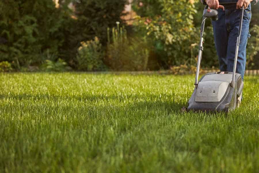 how to mow a lawn - step-by-step guide