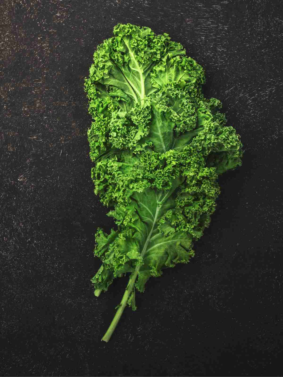 Can You Freeze Kale