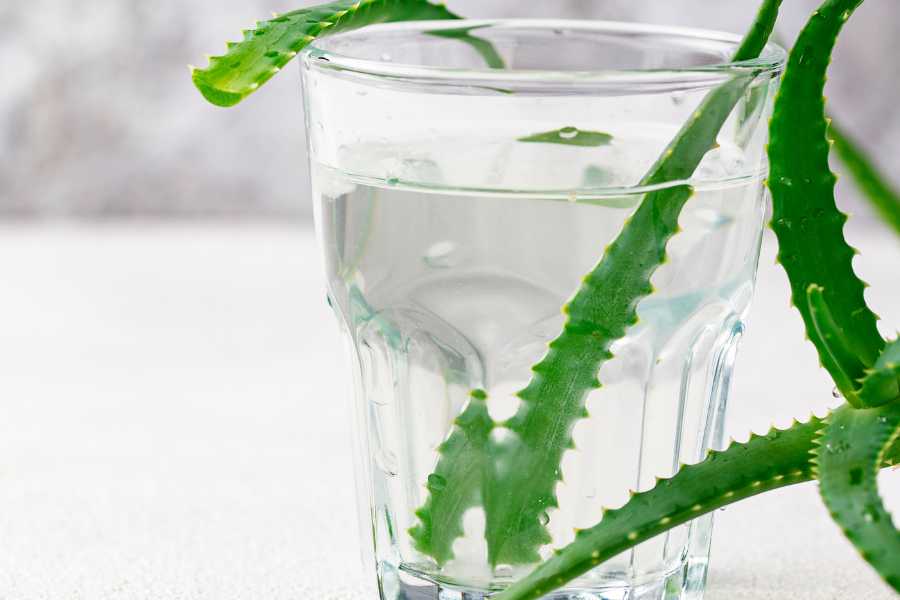 is aloe vera juice good for you