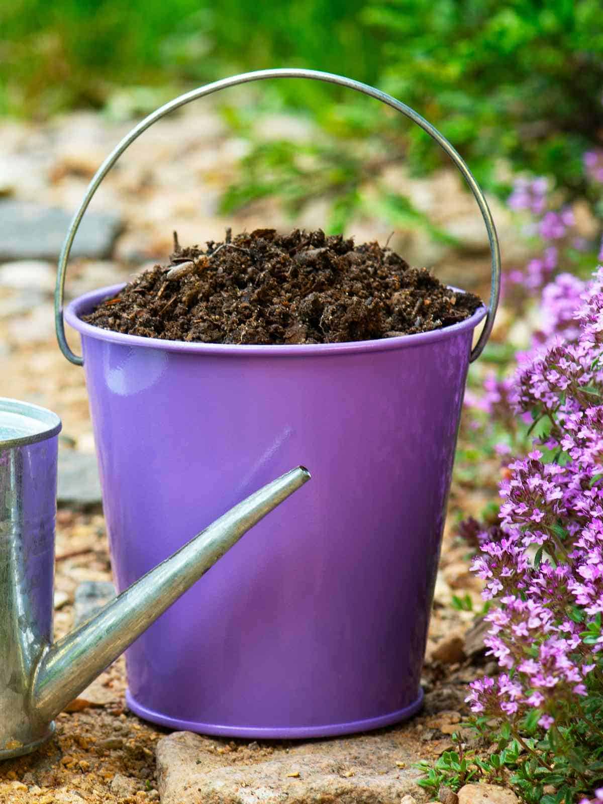How To Start Compost For Gardens