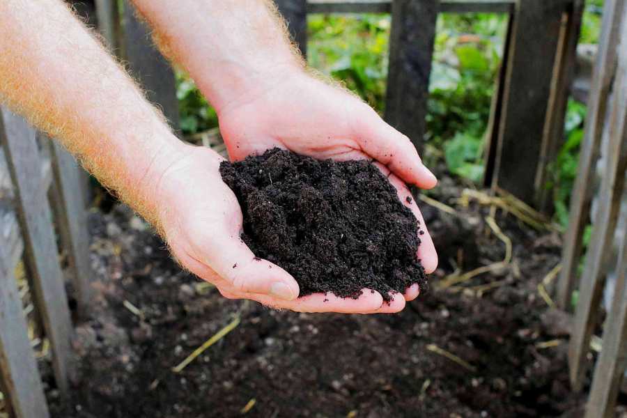 How To Start Compost For Gardens
