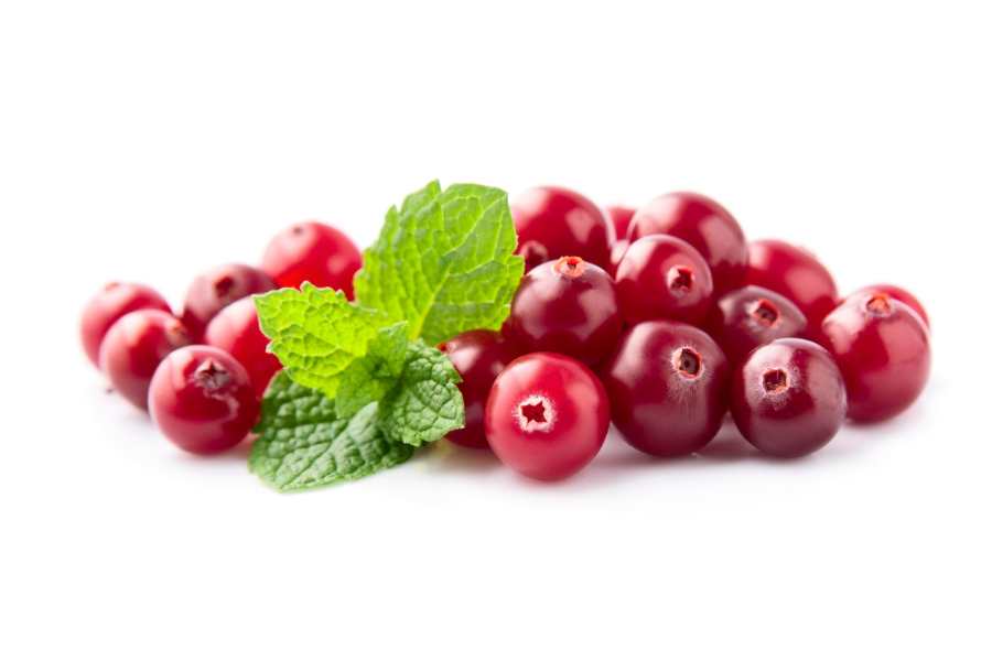 Cranberry Juice and Urinary Tract Health