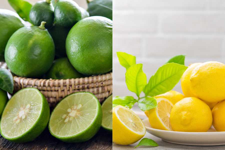 lime vs lemon 