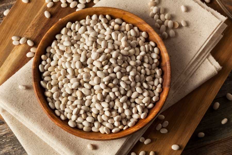navy beans- types of white beans