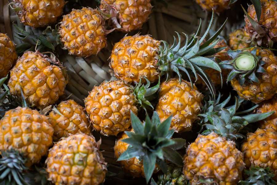Rising Demand for Kerala Pineapples