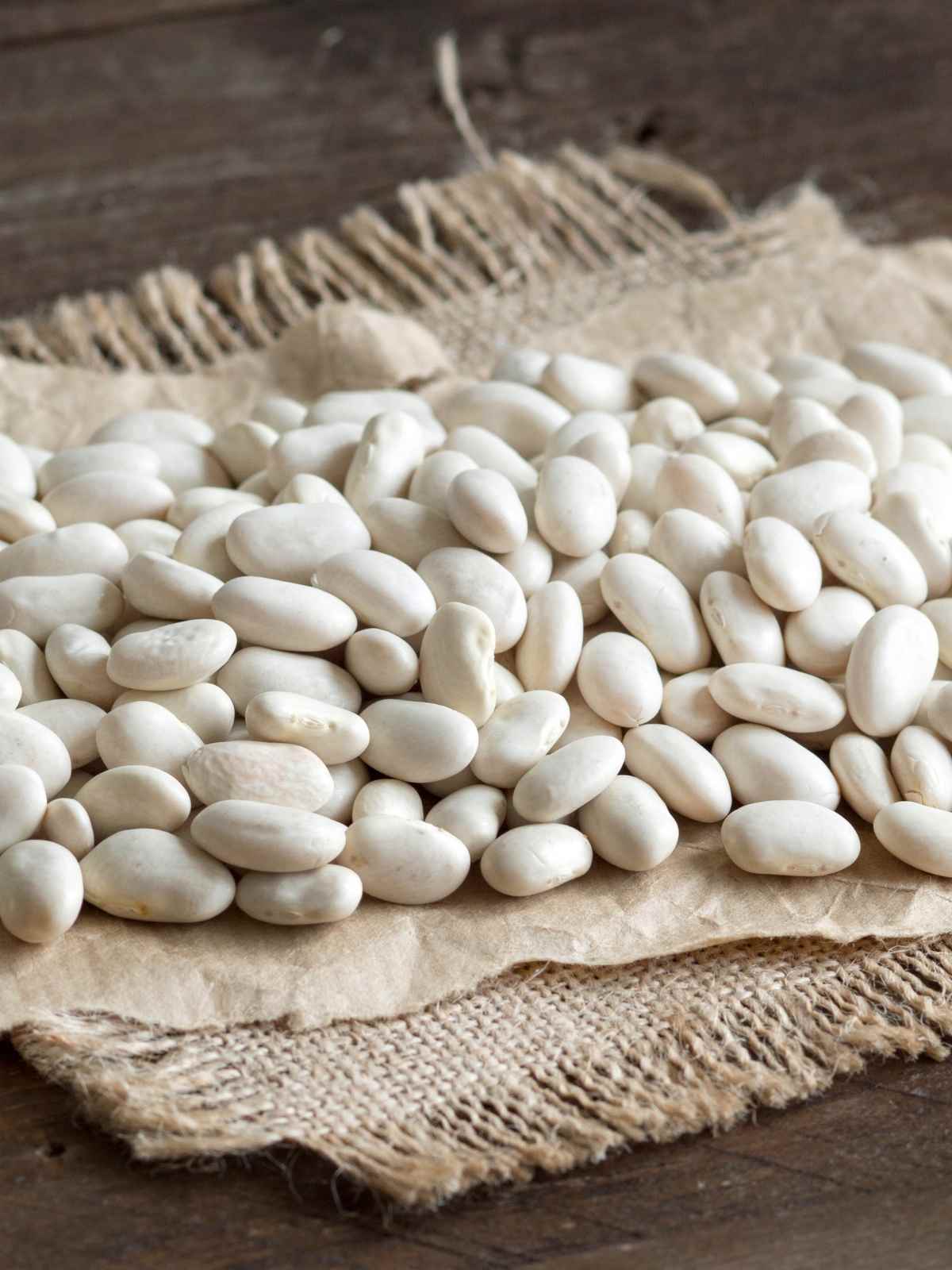 types of white beans