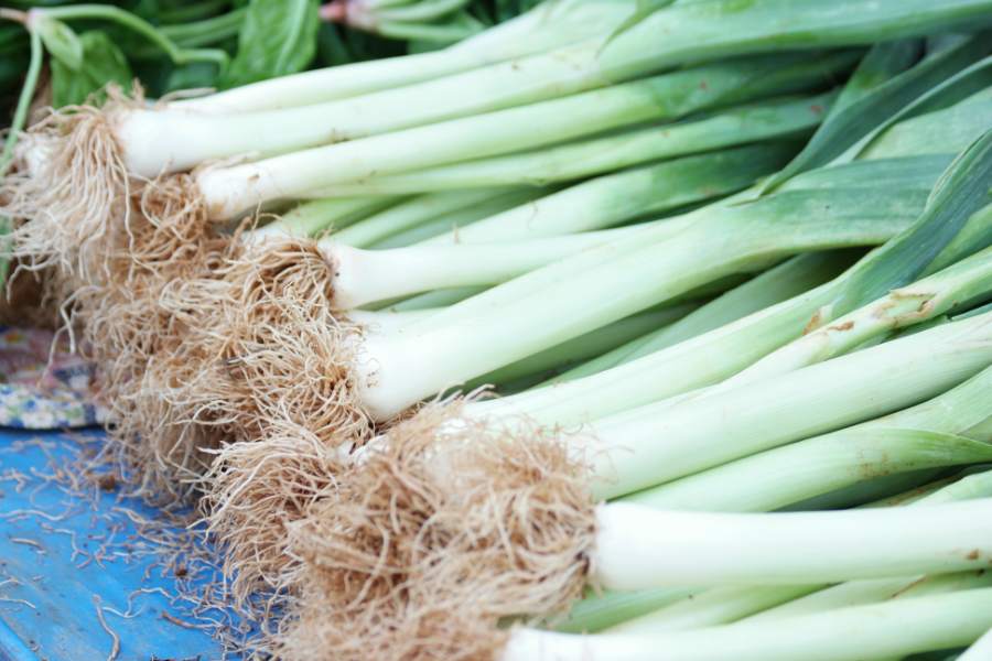 Why Leeks are a Preferred Choice for Those Who Dislike Onions