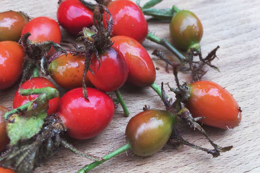 Foods That Are High in Vitamin C (Rose hips)